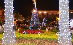 Invitan al encendido del árbol de Navidad en Mazatlán; fecha y horario