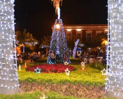 Invitan al encendido del árbol de Navidad en Mazatlán; fecha y horario