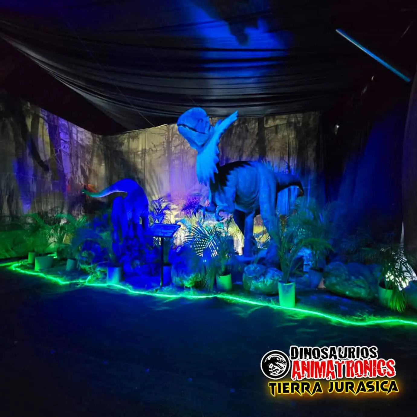 Exhibición de Dinosaurios en Mazatlán abierta todos los días. Foto: PLANBmx