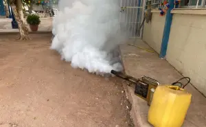 Para prevenir contagios de dengue fumigan todas las escuelas de Ahome