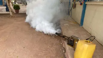 Para prevenir contagios de dengue fumigan todas las escuelas de Ahome