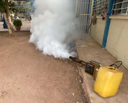 Para prevenir contagios de dengue fumigan todas las escuelas de Ahome