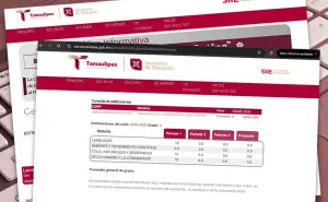 Cómo consultar boletas de calificaciones de alumnos en Tamaulipas 2024 paso a paso