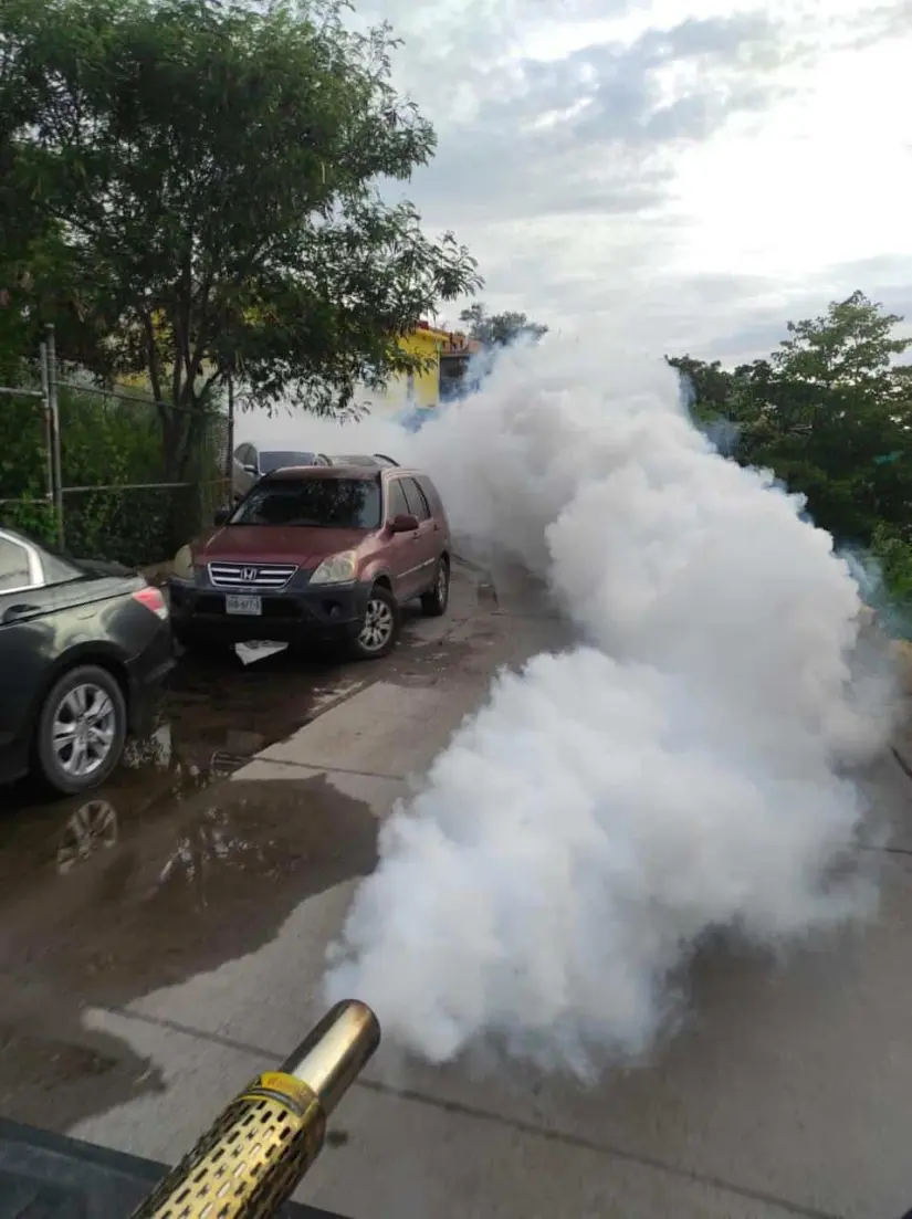 Escuelas de Ahome son fumigadas para combatir el dengue