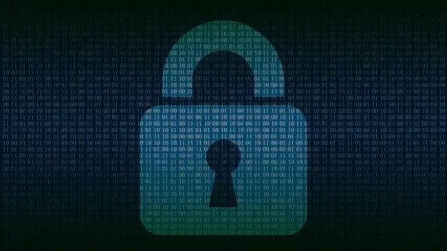 Seguridad cibernética. Imagen. Pixabay.