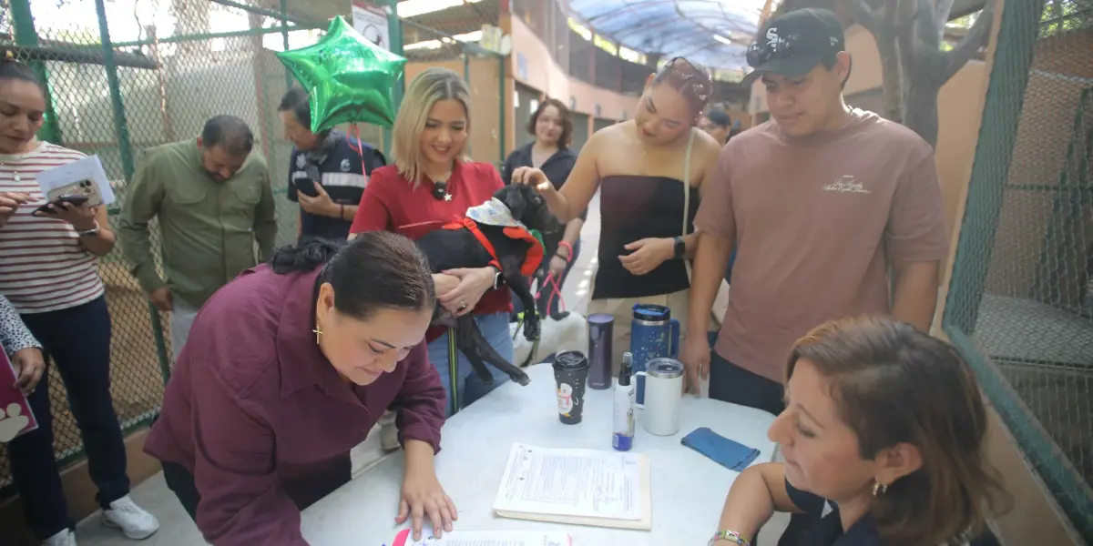 Huellitas del Bienestar busca familias para lomitos en Mazatlán.