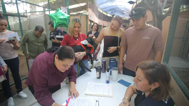 Huellitas del Bienestar busca familias para lomitos en Mazatlán.