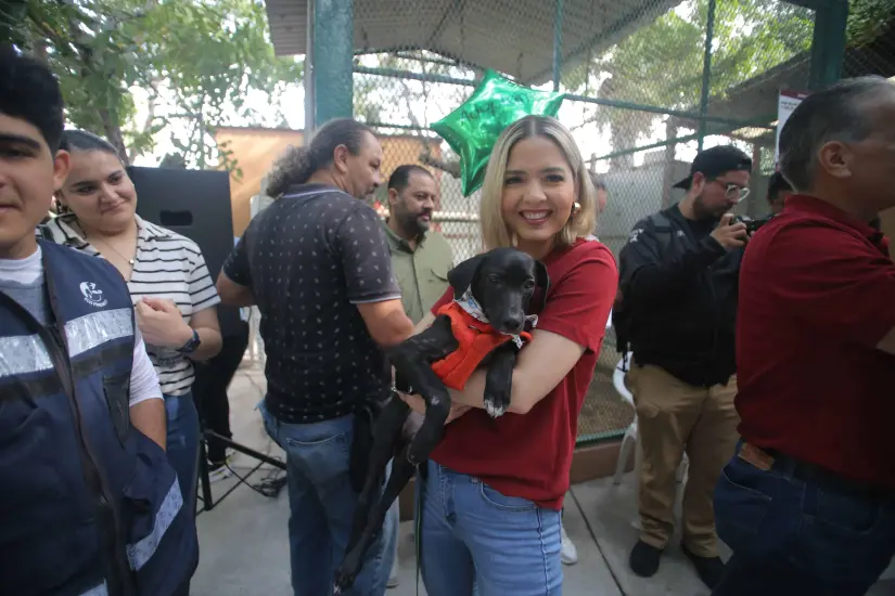 Adopción mascotas en Mazatlán.