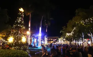 La Plazuela Machado se llena de luz con gigante árbol de Navidad