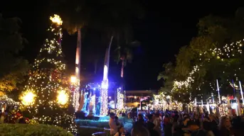 La Plazuela Machado se llena de luz con gigante árbol de Navidad