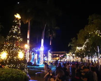 La Plazuela Machado se llena de luz con gigante árbol de Navidad