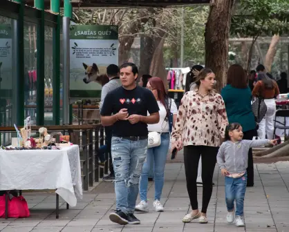 Mercado Navideño en el Zoológico de Culiacán impulsa la economía local y fortalece la unión familiar