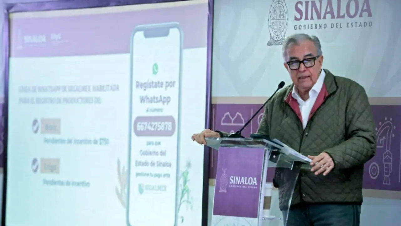 Dan ultimátum para pago de apoyos a cosechas de maíz y trigo en Sinaloa