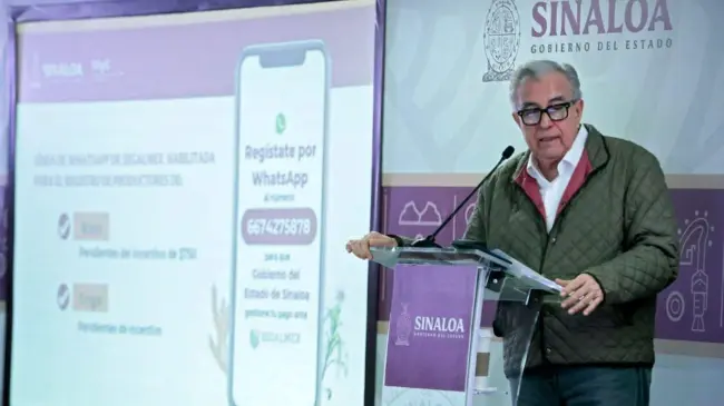 Dan ultimátum para pago de apoyos a cosechas de maíz y trigo en Sinaloa