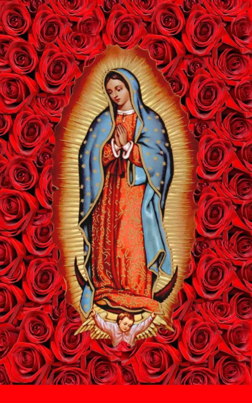 Virgen de Guadalupe.