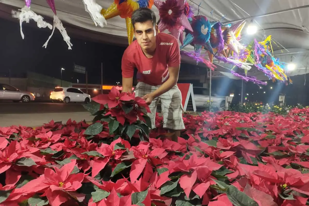 Pedro Valencia muestra parte de su colección de plantas de Nochebuena.