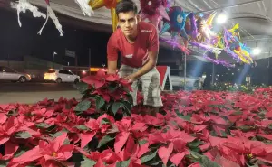 El Vivero Alejo, un rincón navideño al norte de Culiacán