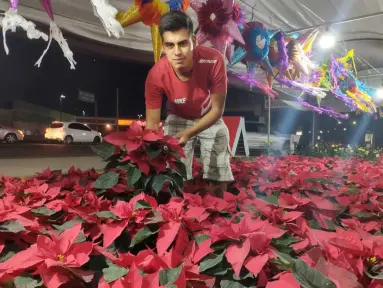 El Vivero Alejo, un rincón navideño al norte de Culiacán