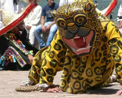 Danza del Jaguar y su significado.