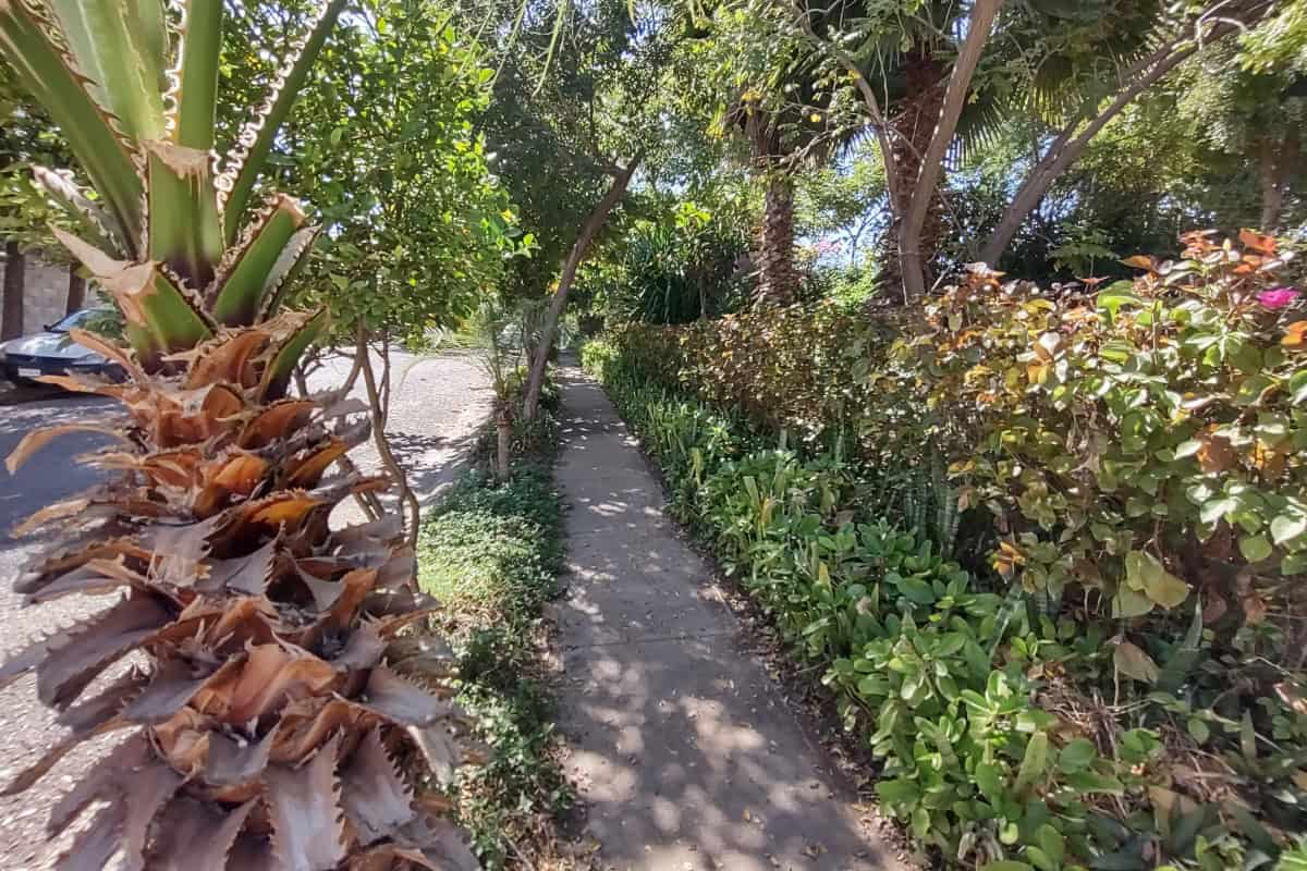 Un parque transformado por la comunidad: La historia de Diamante en Villas del Humaya, Culiacán