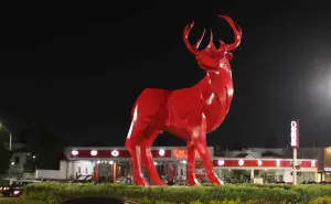 ¡Se ve más chulo! Ilumina El Gran Venado Rojo, “El Gran Orgullo” 