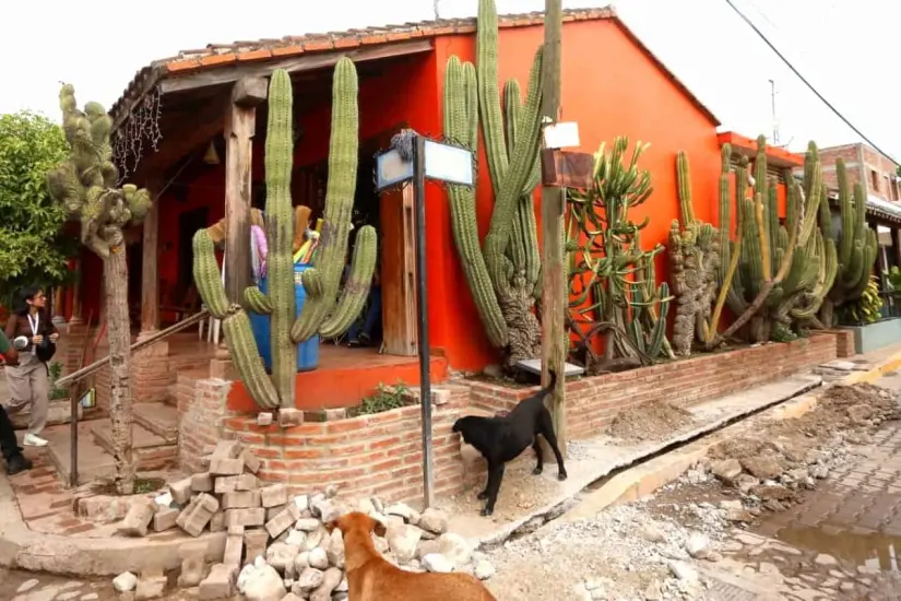 Hermosas viviendas en El Quelite.