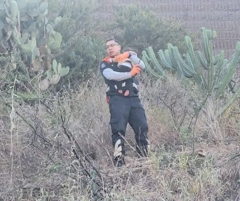 El Bebé luego de ser rescatado en Guanajuato. Foto: Cortesía