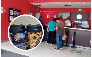 Cinemex saca 4 vasos coleccionables de Mufasa: El Rey León y este será su precio