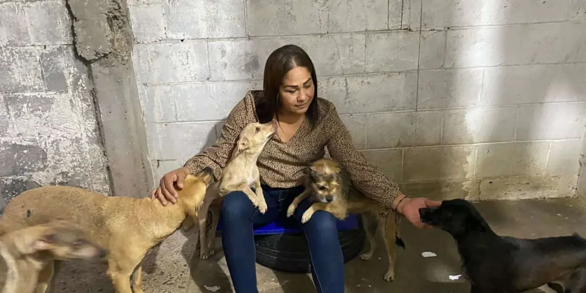 Isela Fuentes promueve una cultura de cuidado de mascotas para evitar perros en condición de calle