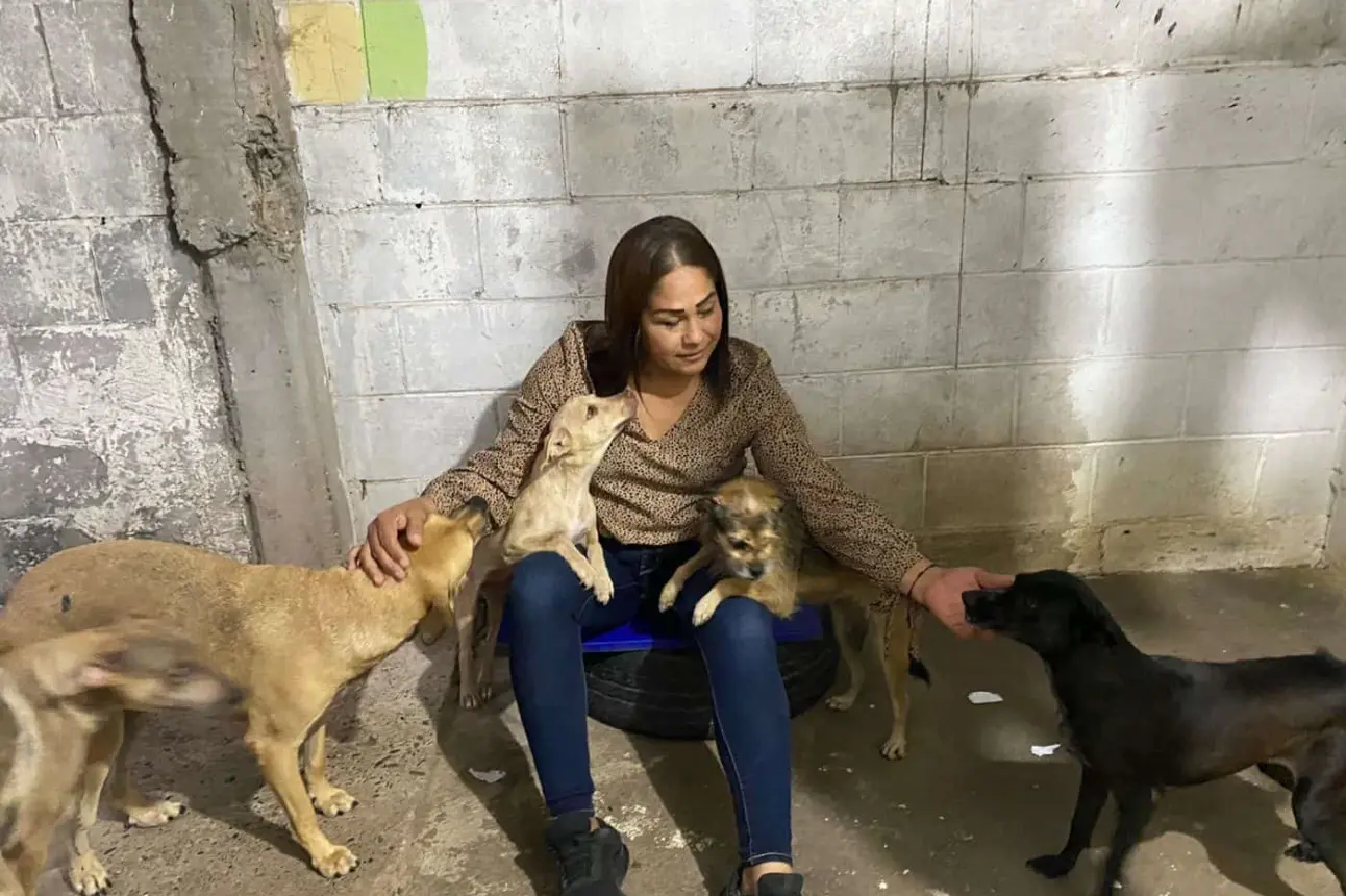 Isela Fuentes promueve una cultura de cuidado de mascotas para evitar perros en condición de calle