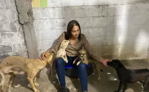 Isela Fuentes, protectora de animales en Villa Juárez tiene corazón compasivo por perritos de calle