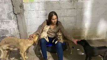 Isela Fuentes, protectora de animales en Villa Juárez tiene corazón compasivo por perritos de calle