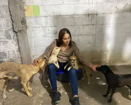 Isela Fuentes, protectora de animales en Villa Juárez tiene corazón compasivo por perritos de calle