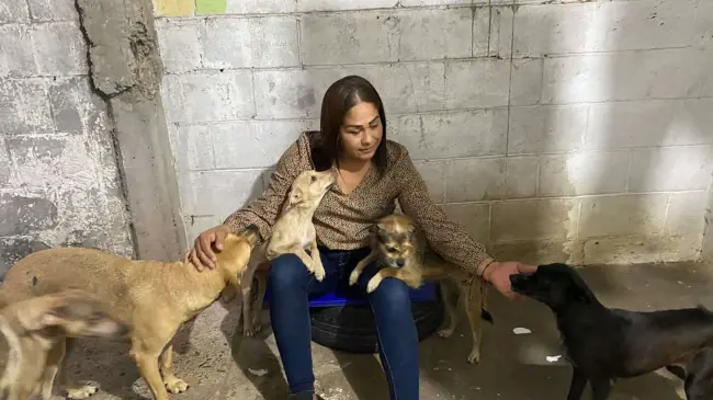 Isela Fuentes promueve una cultura de cuidado de mascotas para evitar perros en condición de calle
