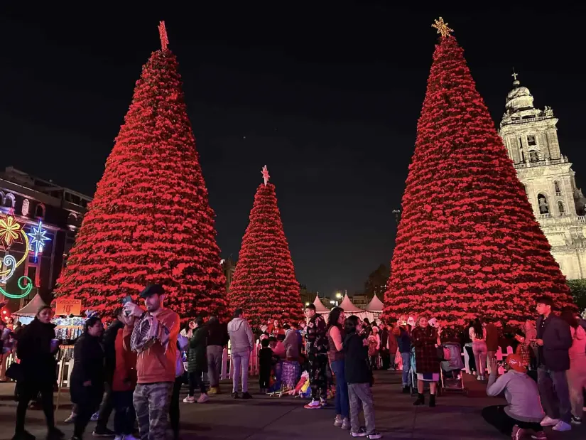 Hermosos arboles de Navidad lucen en el Zócalo de la CDMX