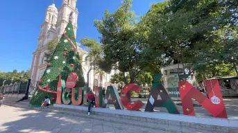 Descubre la Magia de los Pinitos Navideños en Culiacán