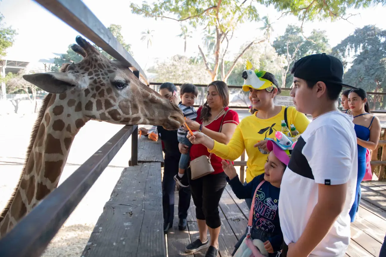 Un día de convivencia y creatividad en el Zoológico de Culiacán durante su posada navideña y su 66 aniversario de fundación.