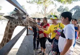 Doble festejo en el Zoológico de Culiacán: Navidad y 66 años de historia