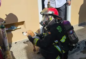 Heroica labor de Bomberos Mazatlán: Rescatan a una mujer, un menor y dos perritos de un incendio