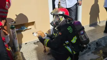 Heroica labor de Bomberos Mazatlán: Rescatan a una mujer, un menor y dos perritos de un incendio