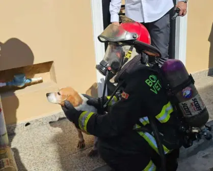 Heroica labor de Bomberos Mazatlán: Rescatan a una mujer, un menor y dos perritos de un incendio