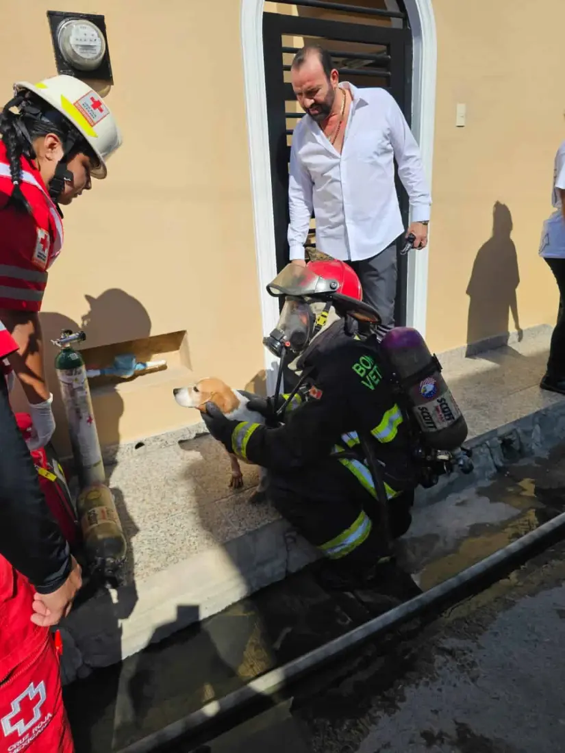  Bomberos Veteranos Mazatlán controlan incendio y salvan a dos personas y dos perritos.