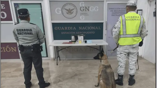 Aseguramiento millonario: siete kilos de metanfetamina incautados en empresa de paquetería de Culiacán con valor de 2 mdp.