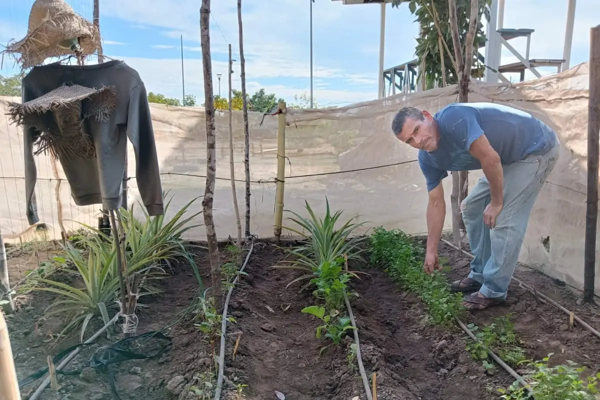 Huerto revitaliza el parque Finisterra y fomenta el vínculo vecinal al sur de Culiacán