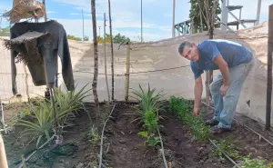 Huerto revitaliza el parque Finisterra y fomenta el vínculo vecinal al sur de Culiacán