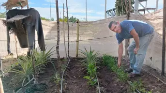 Huerto revitaliza el parque Finisterra y fomenta el vínculo vecinal al sur de Culiacán