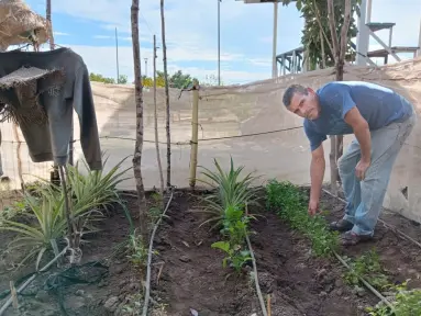 Huerto revitaliza el parque Finisterra y fomenta el vínculo vecinal al sur de Culiacán