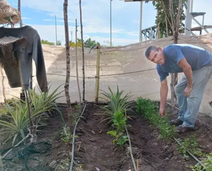 Huerto revitaliza el parque Finisterra y fomenta el vínculo vecinal al sur de Culiacán