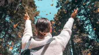 Descubre la magia de la Mariposa Monarca en los santuarios de Sierra Chincua, Senguio y El Rosario