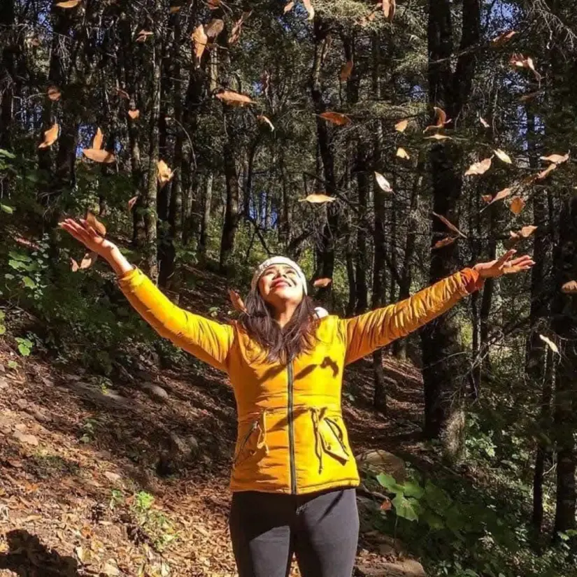 Santuario mariposa monarca en Michoacán